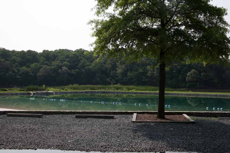 Ben Oaks on the Severn